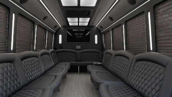 bellevue 20 passenger party bus